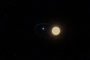 Procyon, the herald star that rises before Sirius, on loyalty to what remains rather than what was