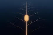 A single straight line of warm amber light running vertically through deep indigo dark, with thin glowing branches forking off it on both sides and one soft pool of light glowing at its center.