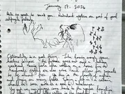 The January 17 handwritten page with sketches: redundant systems are part of good antifragile protocols.