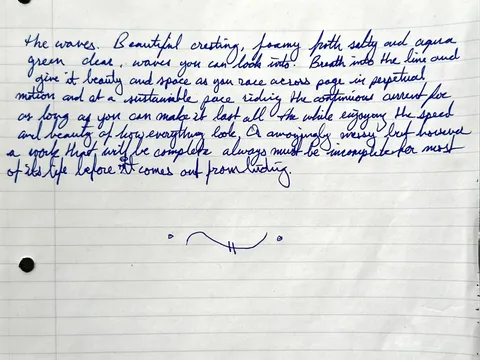 The closing lines of the handwritten entry: waves you can look into, and a work that must be incomplete for most of its life before it comes out from hiding.