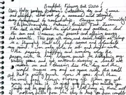The opening of the February 3 handwritten entry: Wow, holy smokes Batman! Interesting day.